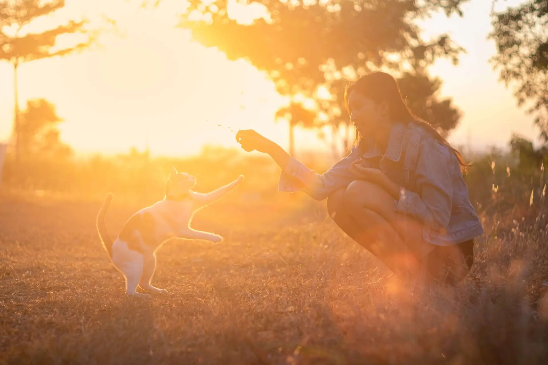 Young woman playing with her cat at sunset, a moment made possible by community support