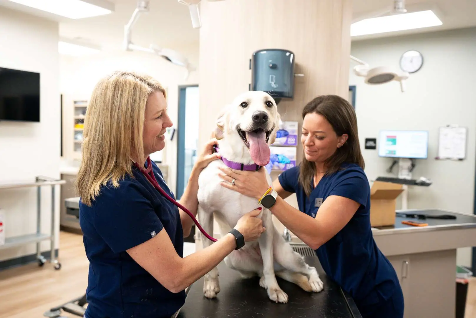 Maple Ridge Animal Hospital team member with a patient during a nutrition visit