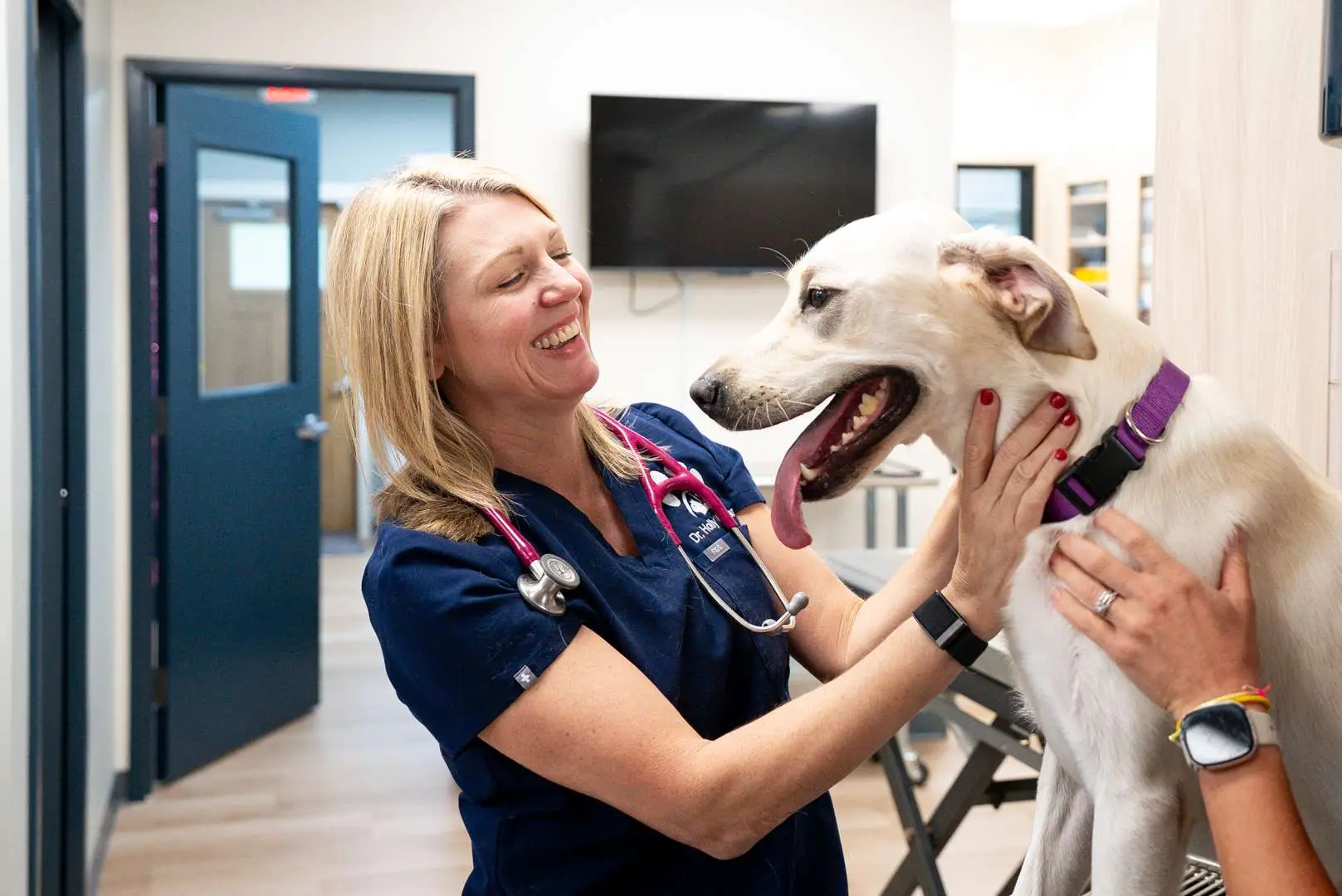 Maple Ridge Animal Hospital team member welcoming a dog delivered by the pet taxi