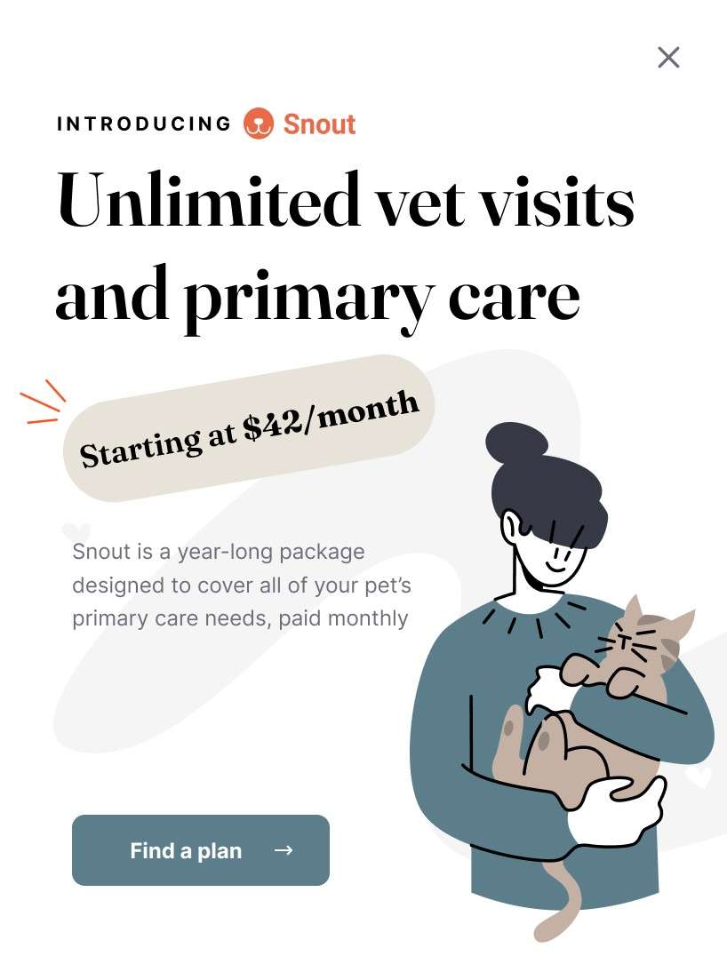 Snout pet wellness plans at Maple Ridge Animal Hospital in Woodstock, GA, unlimited vet visits and primary care in one monthly plan